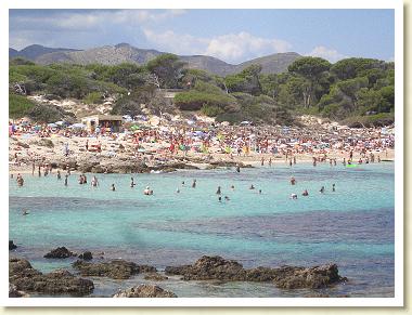 CalaRattata 2007 197